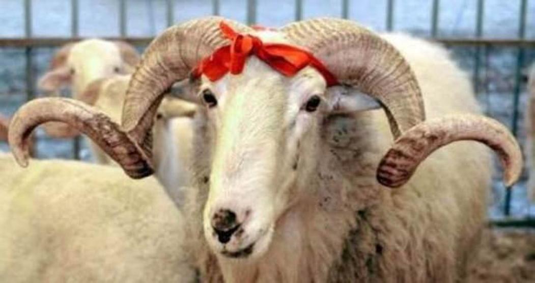 2016 yılı resmi tatilleri kaç gün olacak