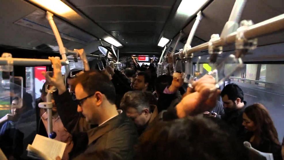 Domuz gribinden korunmanın 8 yolu