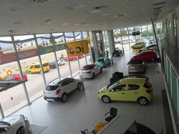 Yavru Vatanda Opel rüzgârı