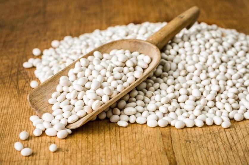 En iyi bitkisel protein kaynakları