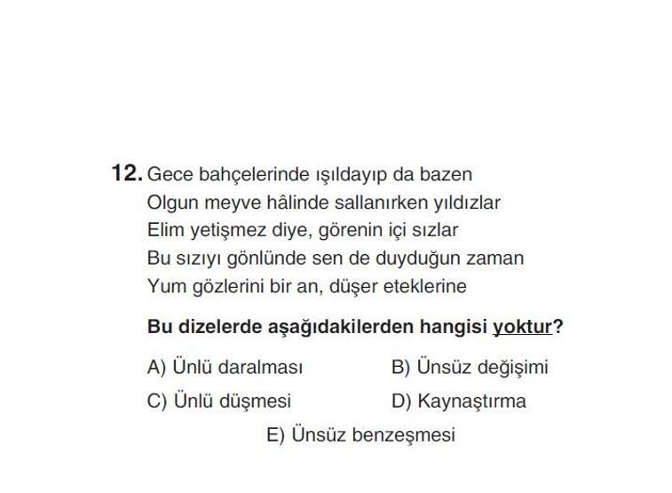 Online deneme sınavı Türkçe bölümü cevap anahtarı