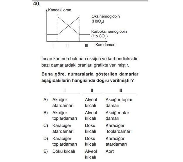 Online YGS denemesi Fen Bilimleri bölümü cevap anahtarı