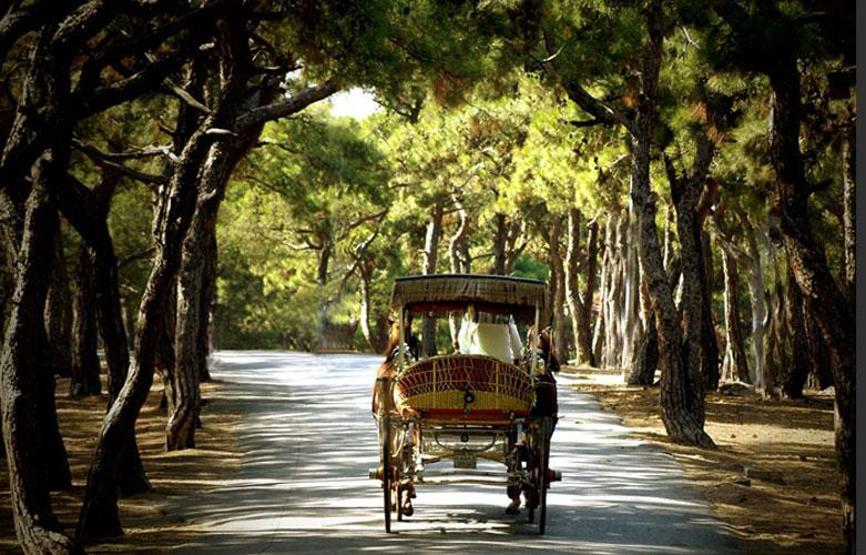 İstanbula en yakın tatil yerleri