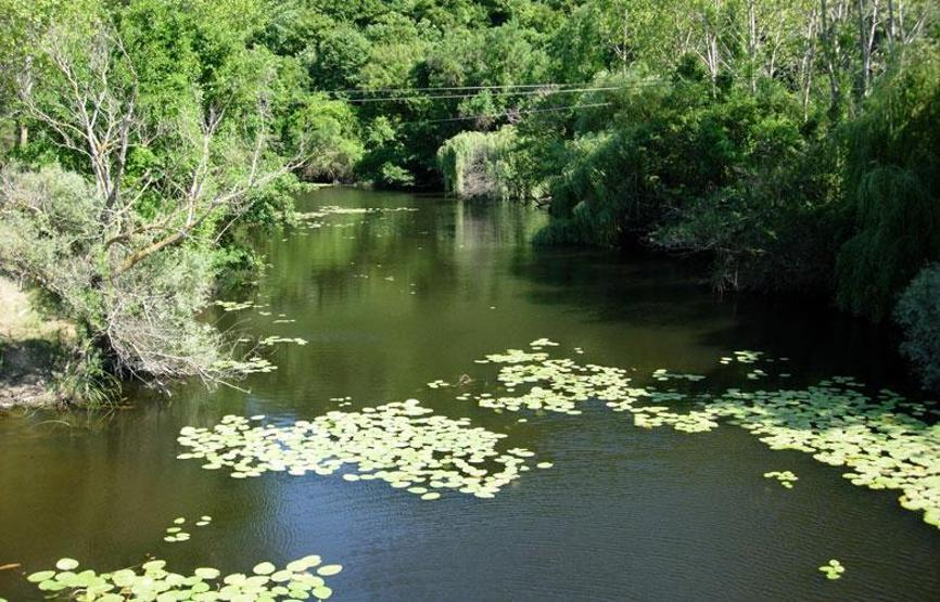 İstanbula en yakın tatil yerleri