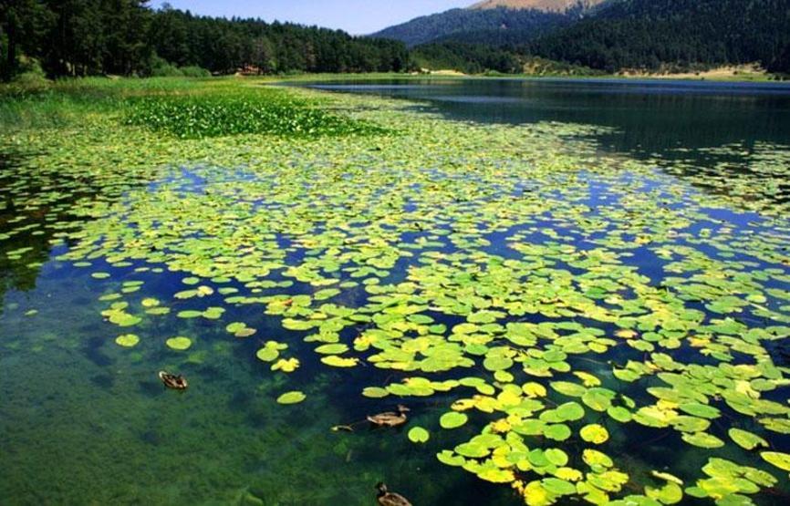 İstanbula en yakın tatil yerleri