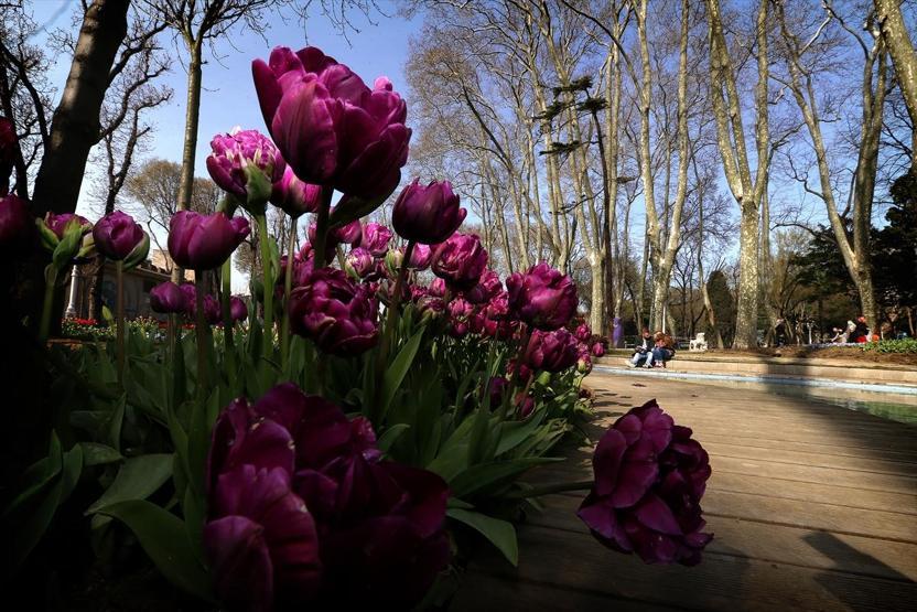 İstanbulda lale devri