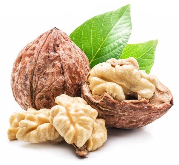 Ceviz kalbi nasıl etkiliyor