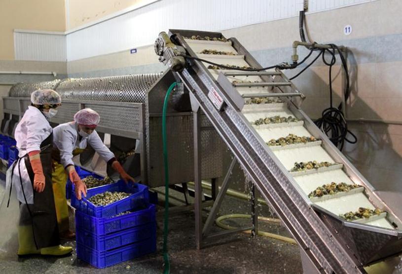 Hem eti hem kabuğu 15 milyon dolar kazandırıyor