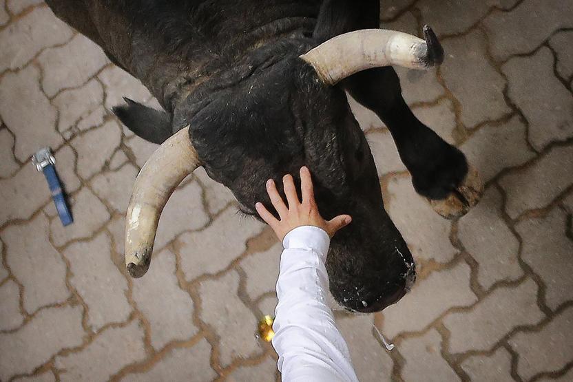 San Ferminde boğaların boynuz darbesi sonucu bir kişi öldü