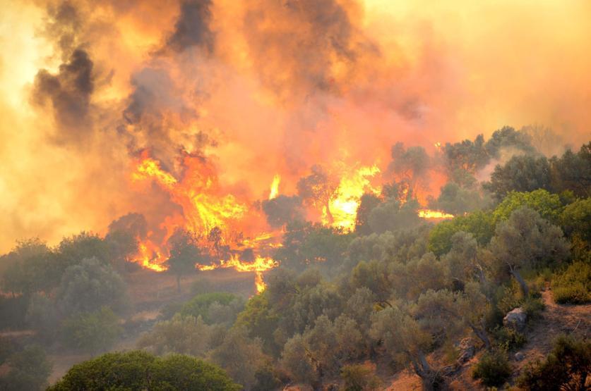 Bodrum yanıyor