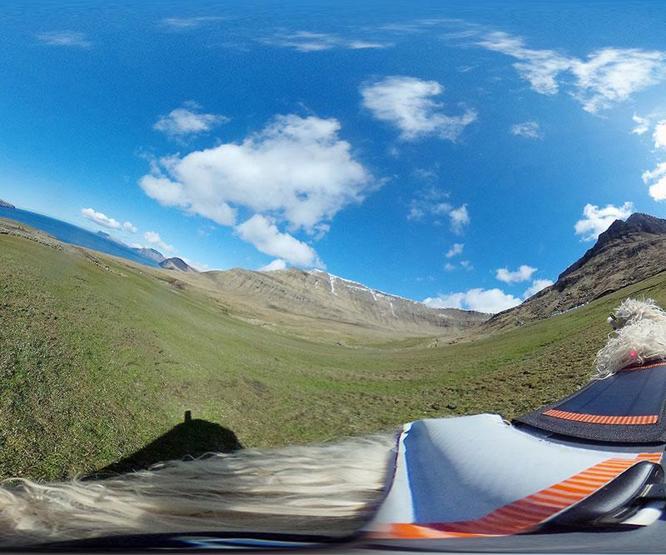 Google Faroe Adalarında koyunlarla iş birliği yapıyor