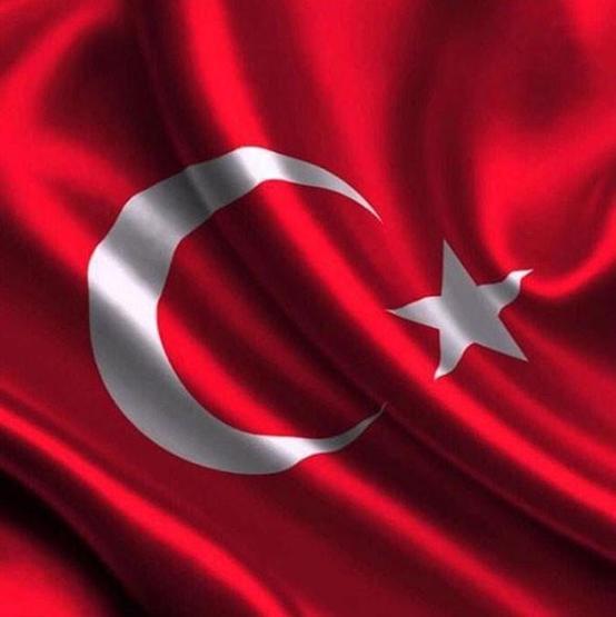 Ünlülerin darbe girişimine tepkileri