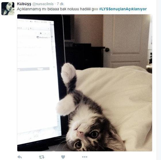 LYS sonucunu beklerken öğrenciler