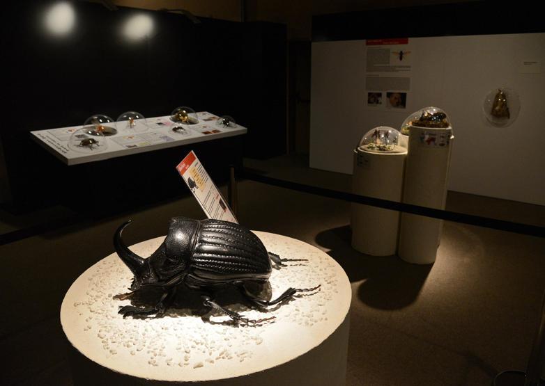 İnanılmaz böcekler sergisi EXPO 2016da