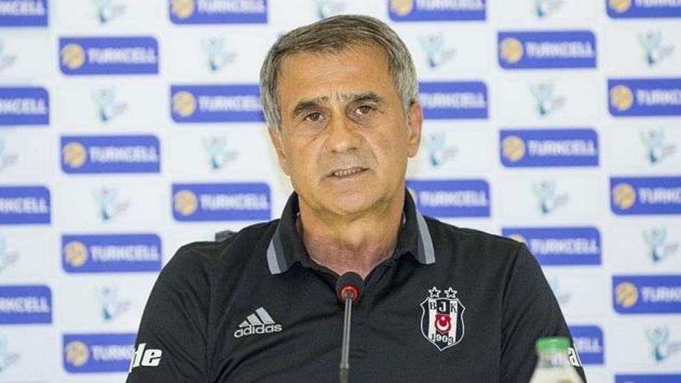 Şenol Güneş: Belki Mario Gomez döner