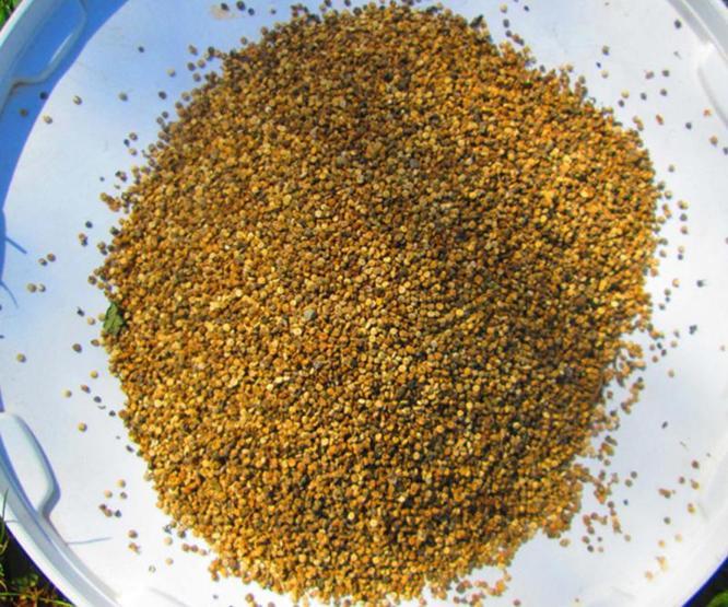 Astronotların vazgeçilmezi Ağrıda yetişiyor