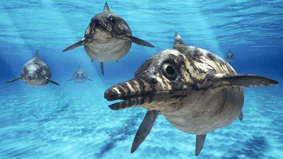 Dinozorların Kayıp Dünyası