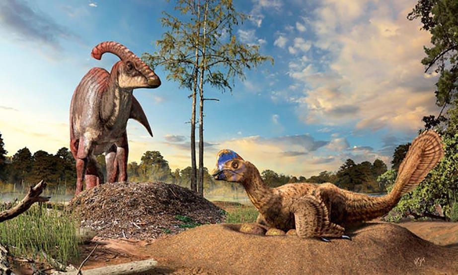 Dinozorların Kayıp Dünyası