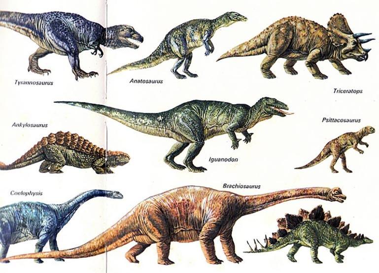 Dinozorların Kayıp Dünyası