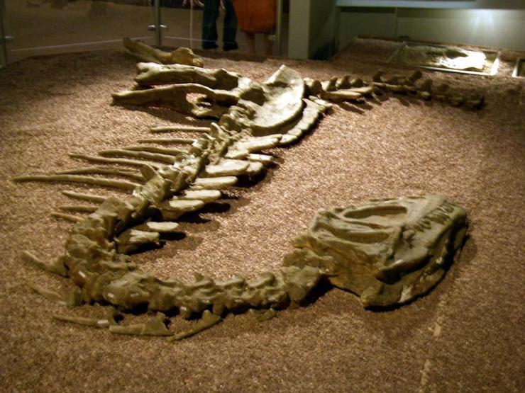 Dinozorların Kayıp Dünyası