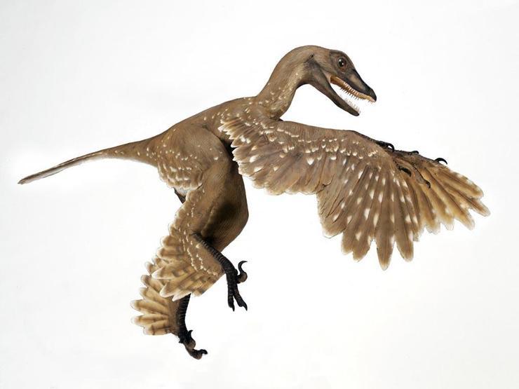 Dinozorların Kayıp Dünyası