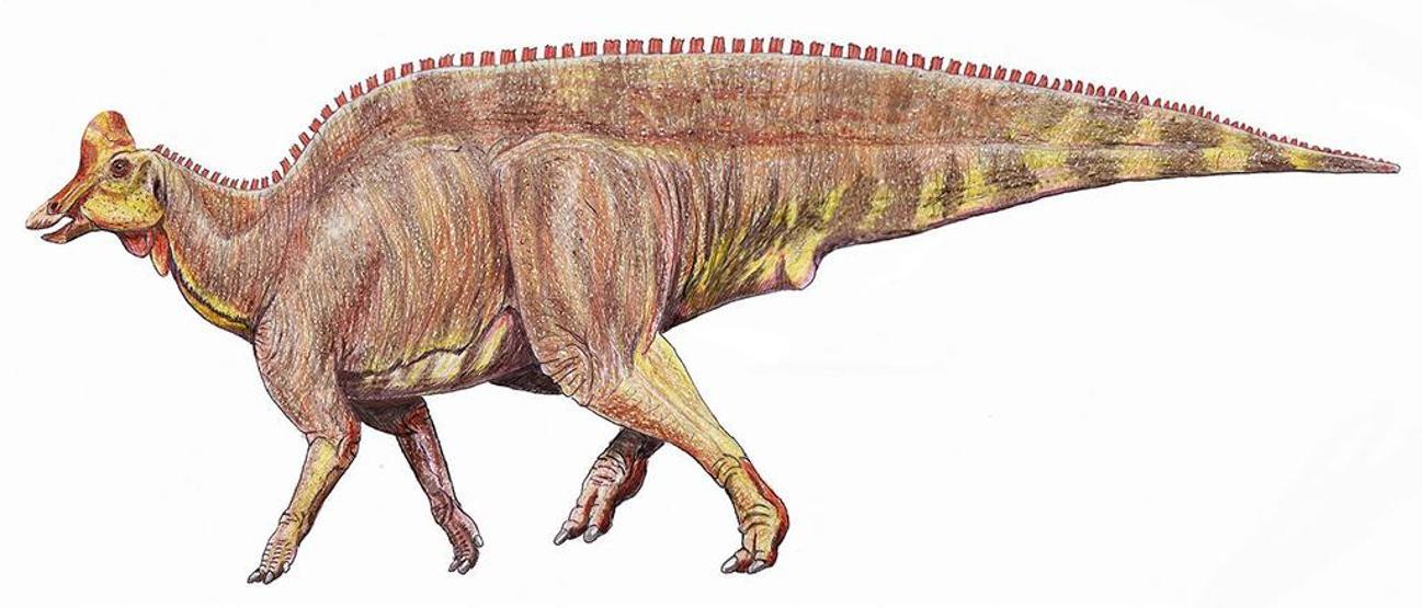 Dinozorların Kayıp Dünyası