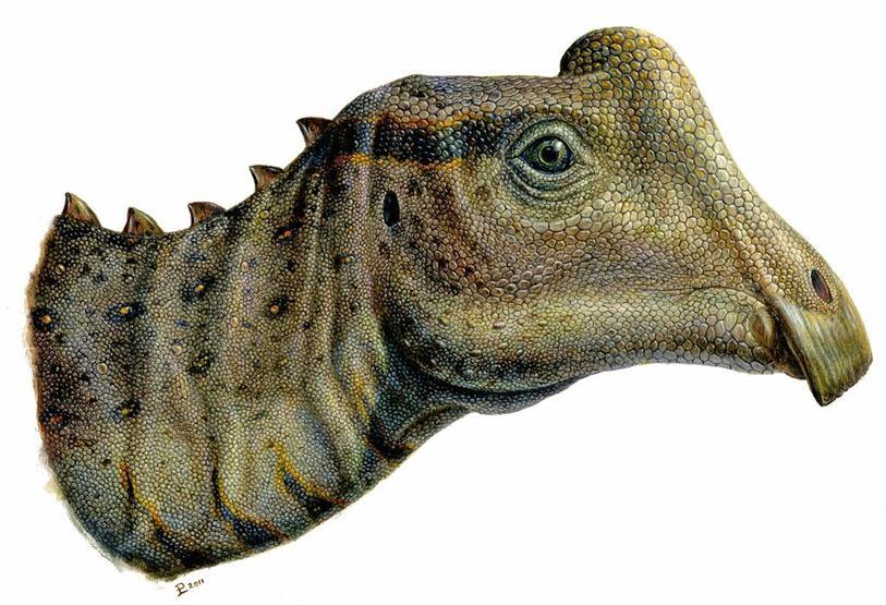Dinozorların Kayıp Dünyası