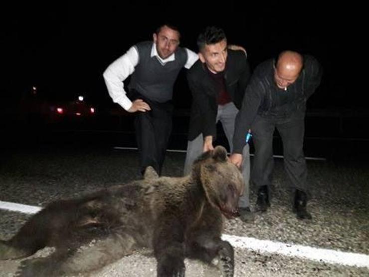 Ölen ayı ile hatıra fotoğrafı