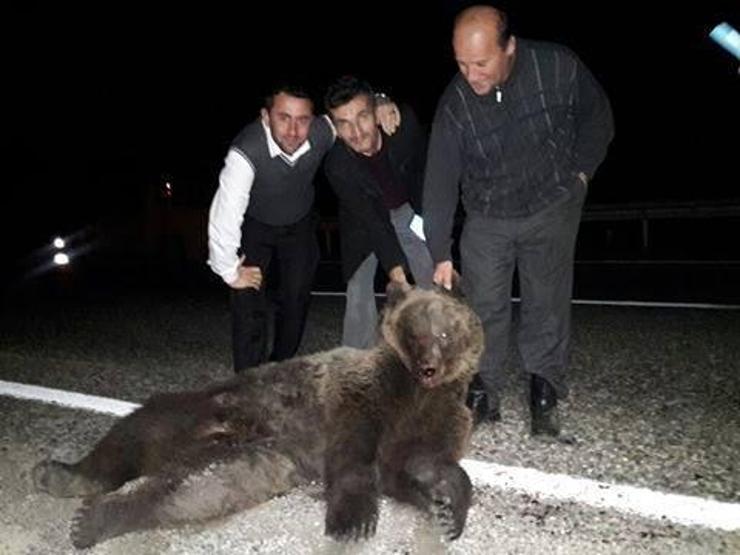 Ölen ayı ile hatıra fotoğrafı