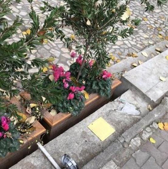 Kadıköyün maskotu Tombilinin heykeli çalındı