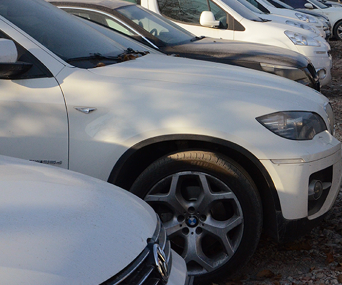Lüks otomobiller çürümeye terk edildi