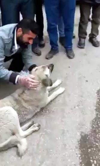 Zehirlenen köpeği marketten aldığı sütü içirip kurtardı