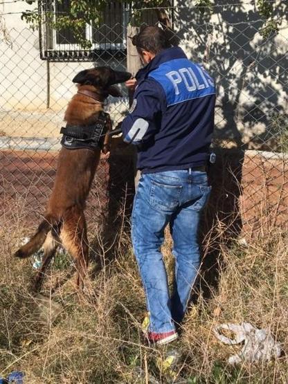Adana’da PKKlıların yuvalandığı caddeye narko-terör baskını