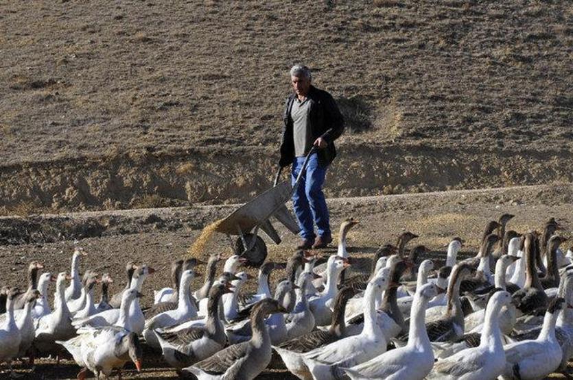 Arkadaşı hediye etmişti Kesmeye kıyamadı Şimdi paraya para demiyor