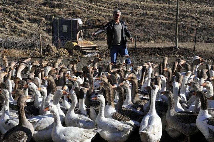 Arkadaşı hediye etmişti Kesmeye kıyamadı Şimdi paraya para demiyor