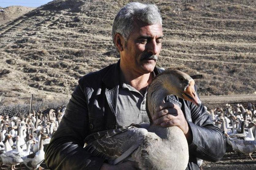 Arkadaşı hediye etmişti Kesmeye kıyamadı Şimdi paraya para demiyor