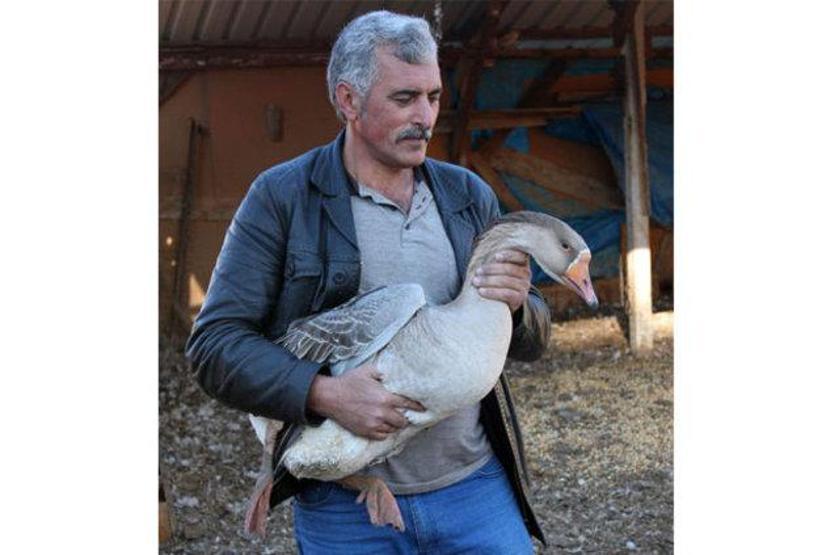 Arkadaşı hediye etmişti Kesmeye kıyamadı Şimdi paraya para demiyor