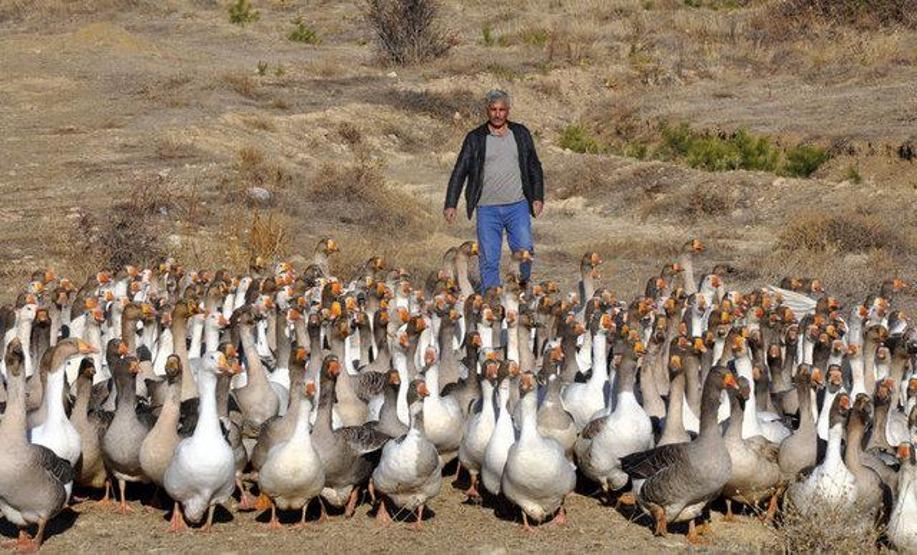 Arkadaşı hediye etmişti Kesmeye kıyamadı Şimdi paraya para demiyor