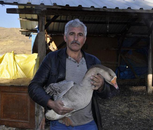 Arkadaşı hediye etmişti Kesmeye kıyamadı Şimdi paraya para demiyor