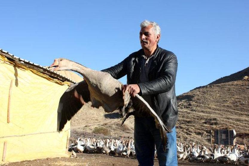 Arkadaşı hediye etmişti Kesmeye kıyamadı Şimdi paraya para demiyor