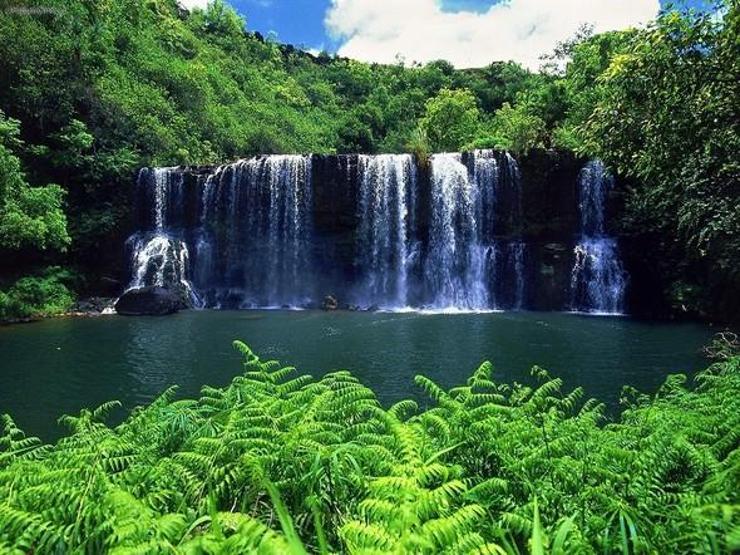 Kauai Adasına gitmek için 11 neden