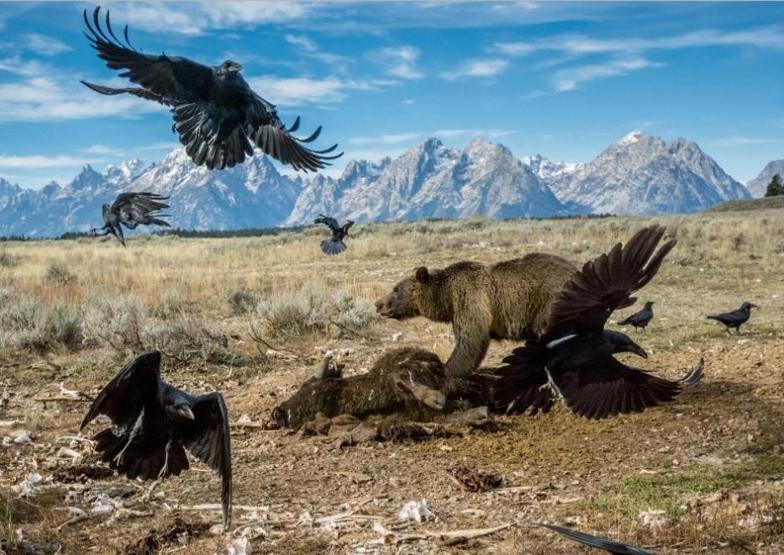 İşte 2016nın en iyi fotoğrafları