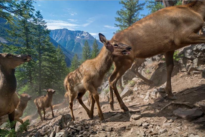 İşte 2016nın en iyi fotoğrafları