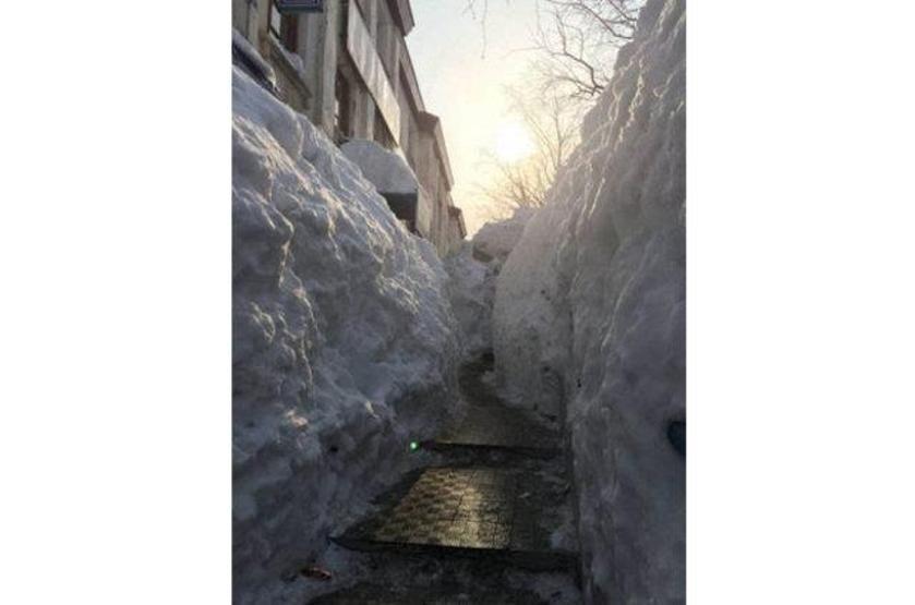 Ruslar yurdum insanını aratmıyor