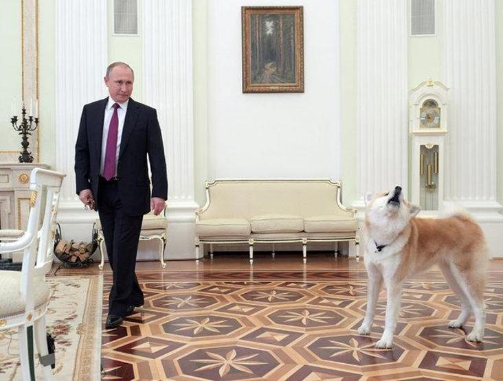 Putin Japon gazetecileri korkuttu
