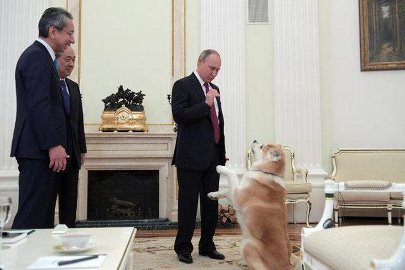 Putin Japon gazetecileri korkuttu