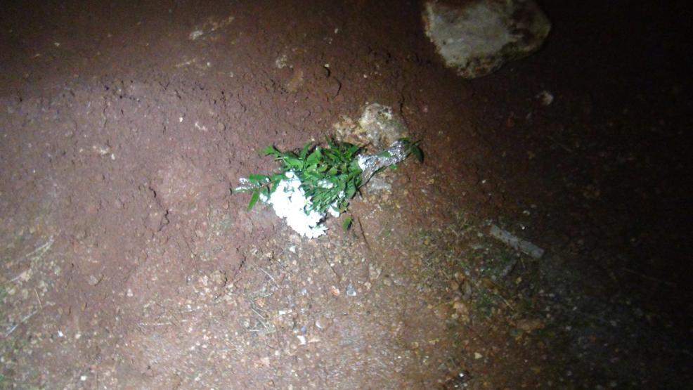 Aşkımı toprağa gördüm dedi, polis alarma geçti
