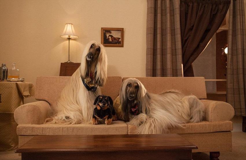 İngilterede yılın fotoğrafları seçildi