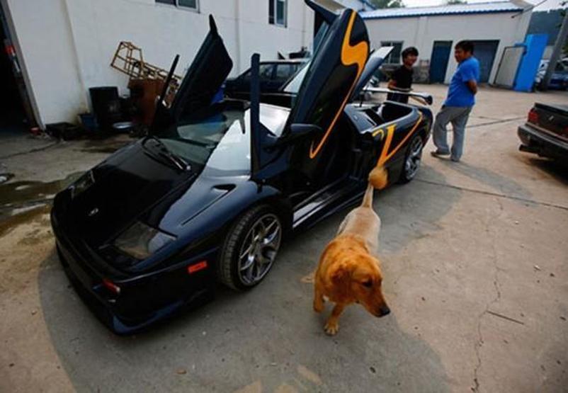 İki Çinli genç 4 yılda Lamborghini otomobil yaptı