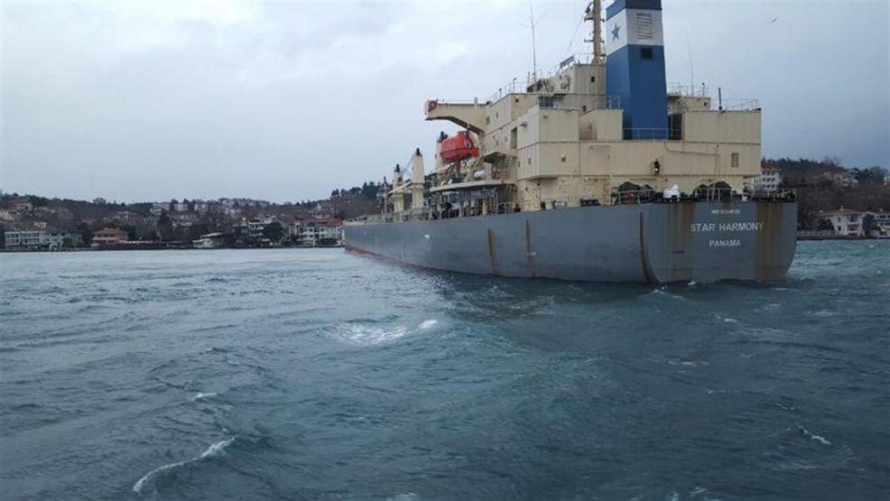 Yeniköyde gemi karaya oturdu